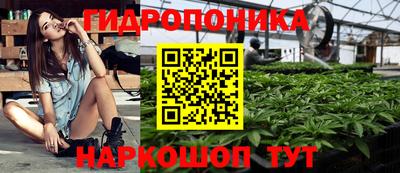 Альфа ПВП Пушкино