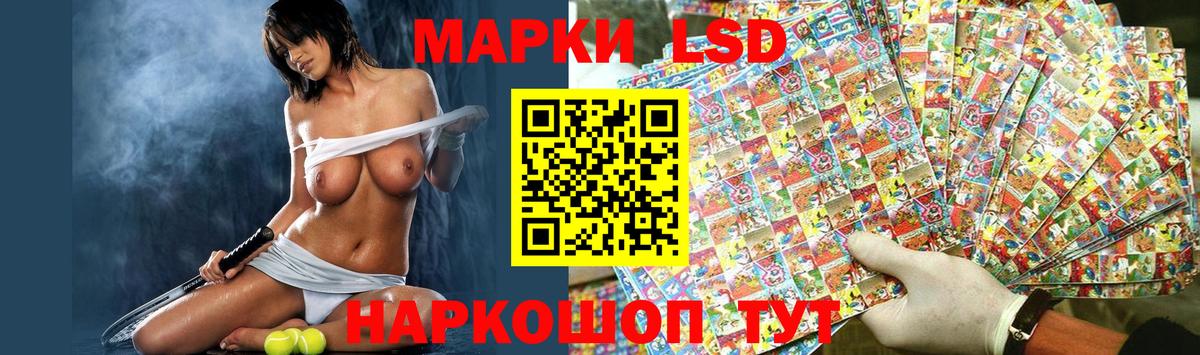 Псилоцибиновые грибы Пушкино