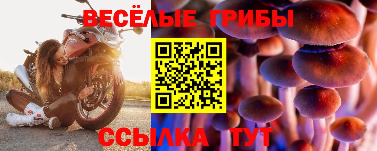 Галлюциногенные грибы Cubensis  Вход с VPN  Пушкино 